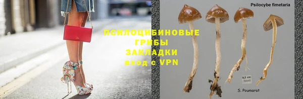 мдпв Аксай