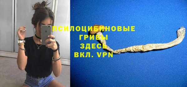 гидра Мегион