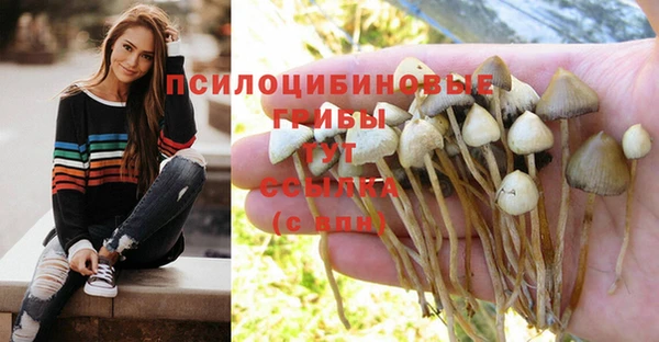 MESCALINE Медвежьегорск