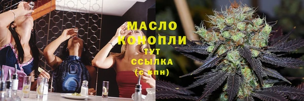 гидра Мегион