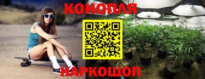 спиды Будённовск