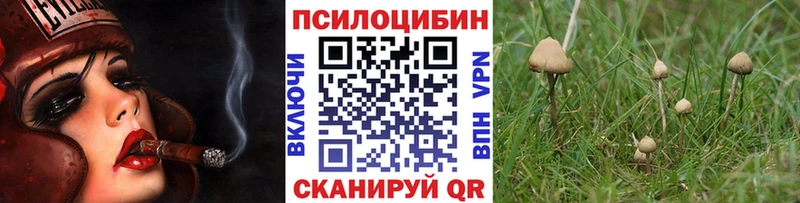 Псилоцибиновые грибы мухоморы  продажа наркотиков  Выкса 