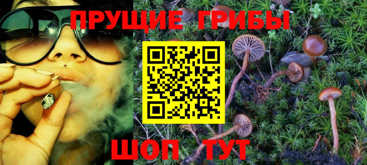 Псилоцибиновые грибы мицелий Выкса