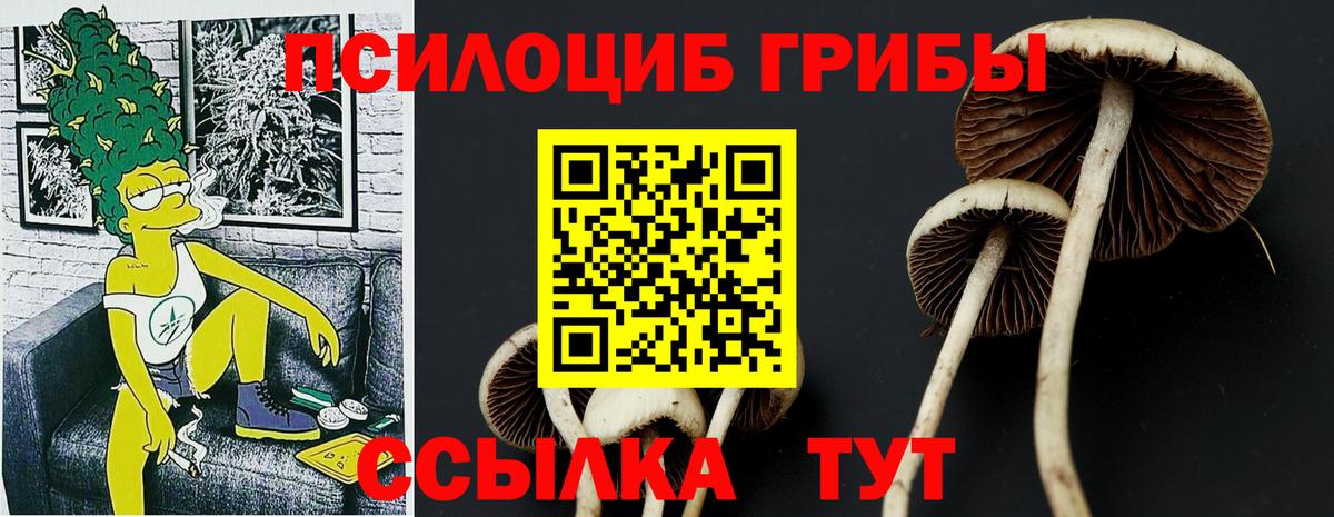 Галлюциногенные грибы прущие грибы  Выкса 