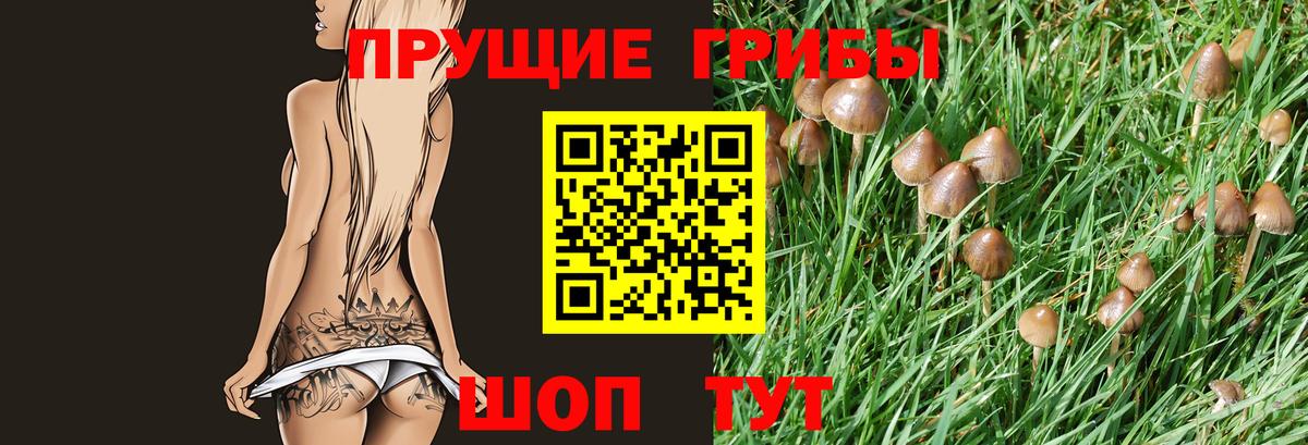 Псилоцибиновые грибы Psilocybine cubensis Выкса
