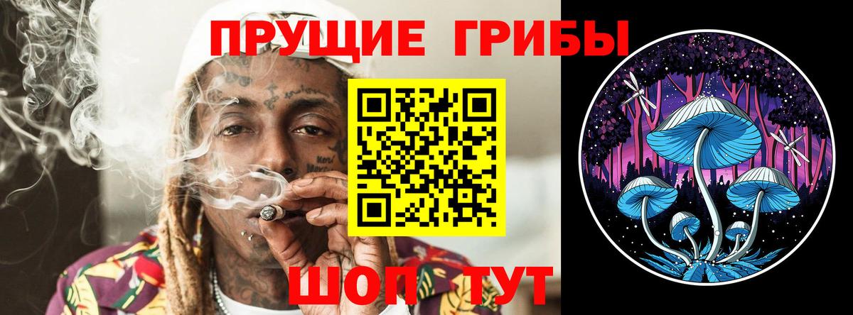 Галлюциногенные грибы прущие грибы  Выкса 