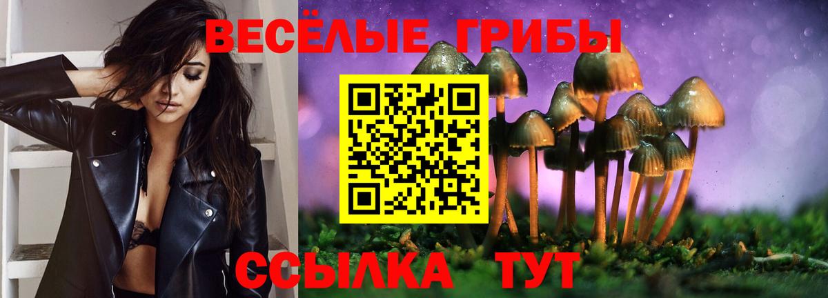 Выкса  Галлюциногенные грибы мицелий  Вход с VPN  Галлюциногенные грибы Psilocybe 